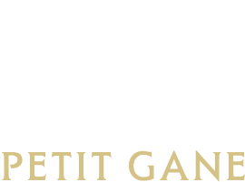 Logo Château Petit Gane à Blasimon